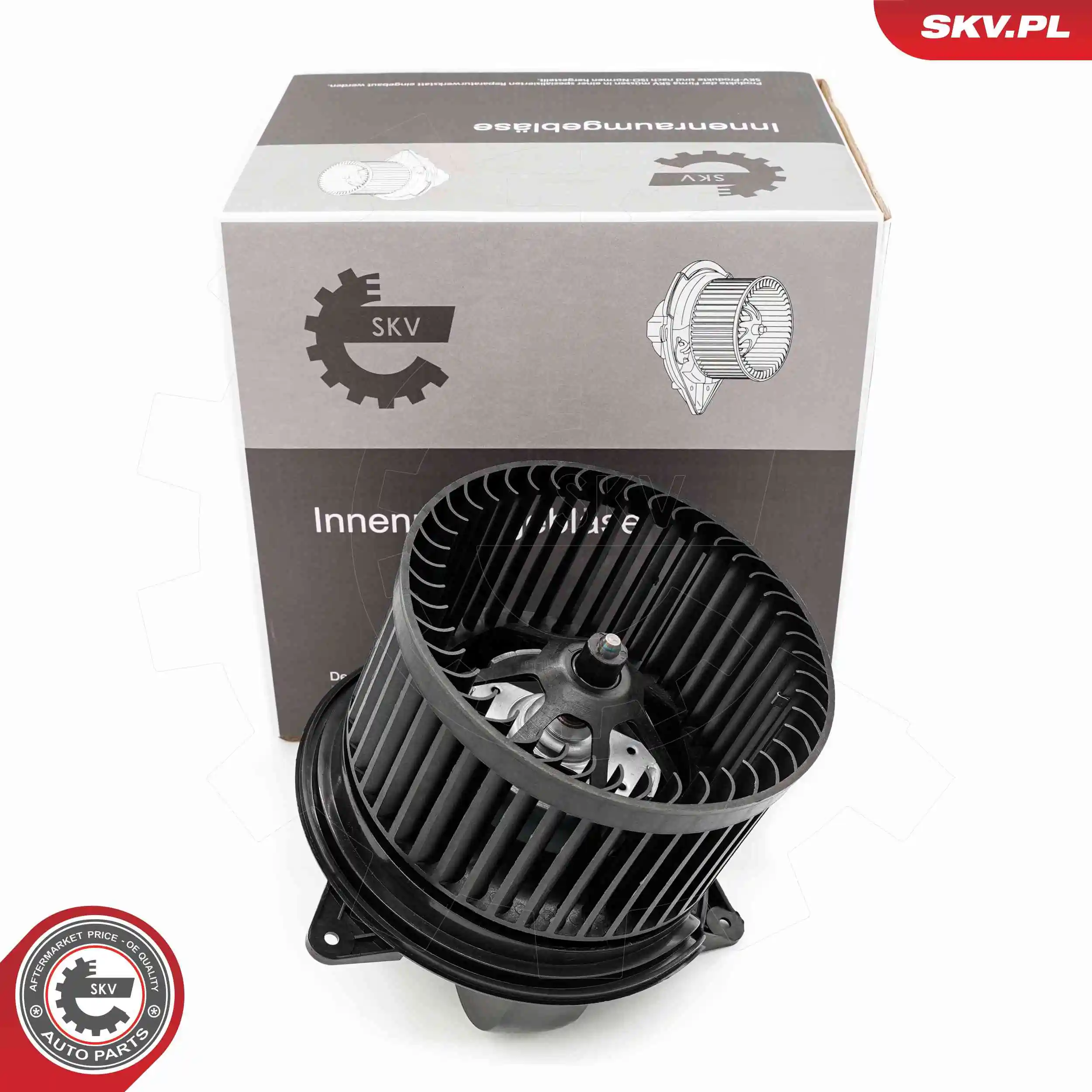 Interior Blower